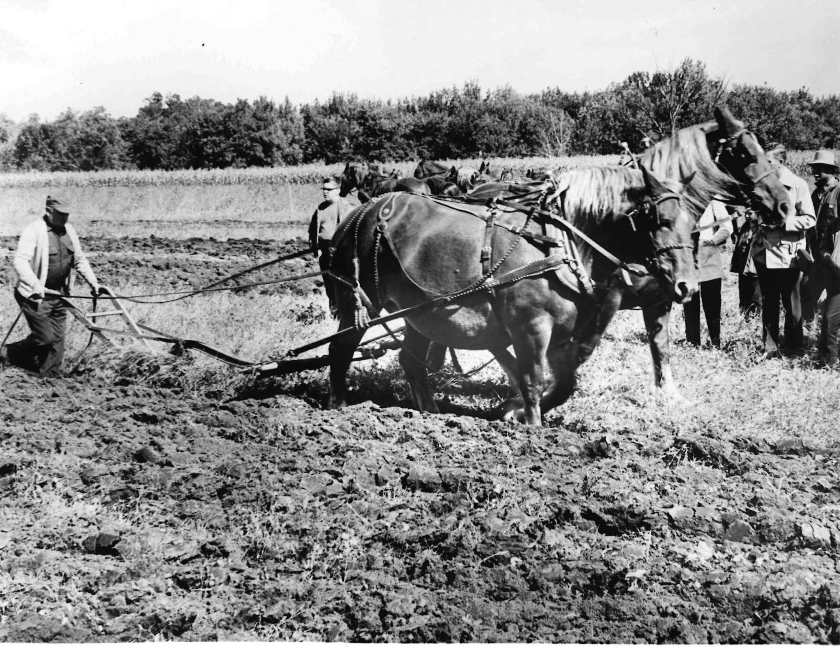 History Corner: A Look Back